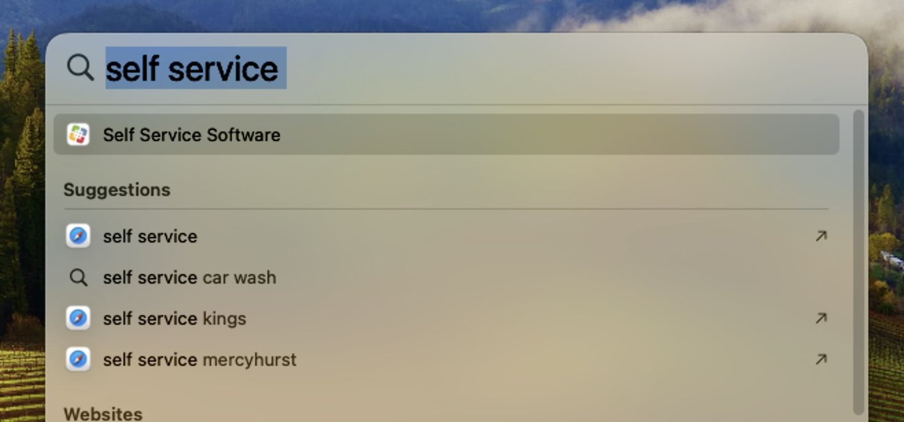 screenshot of macOS spotlight search of words self service