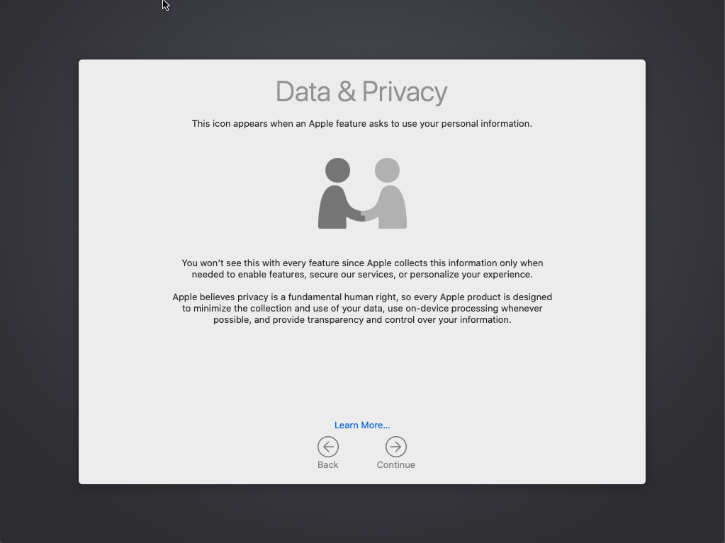 Setup Assistant Data & Privacy pane